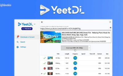 YeetDL Lifetime Deal $19.99 | Easy Way To Convert Videos