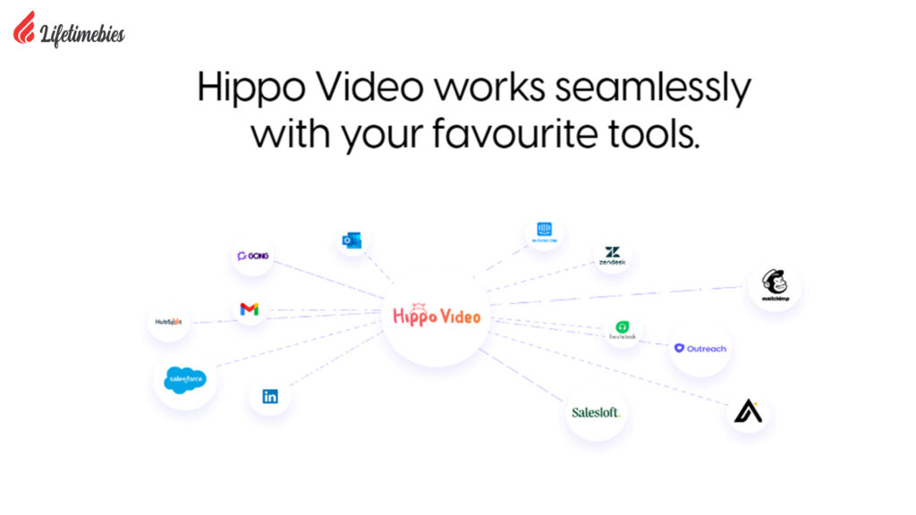Hippo-Video-Review.jpg