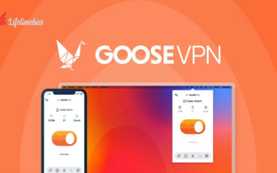 GOOSE VPN Lifetime Deal $29 | Protect Your Privacy And Data